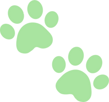 PAWS.png