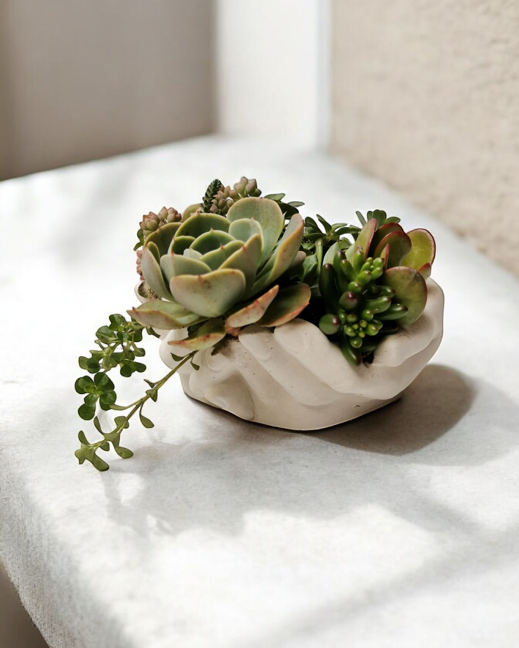 Terrario jardines de abril