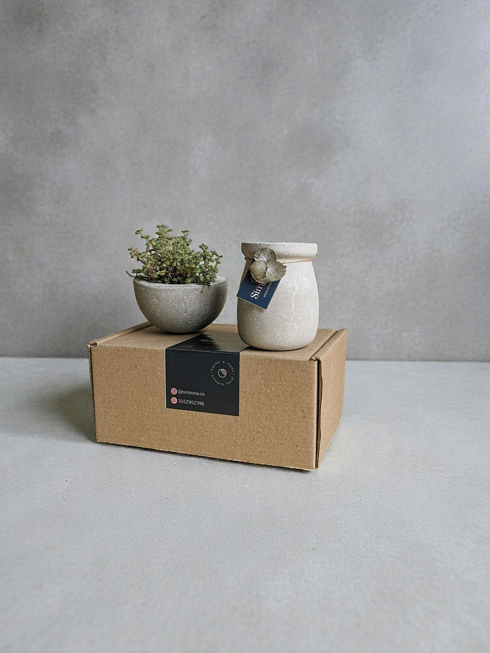 Miniatura: Kit lirio de agua