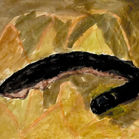 Leo Latino-Sea Creature Watercolo.jpg