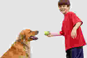 how to teach kids responsible pet ownership