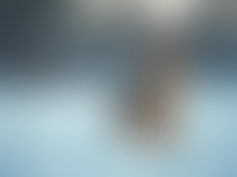 Verhoog je energie met de gezondheidsvoordelen van gember