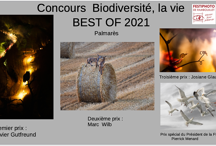 Rambouillet prix.png