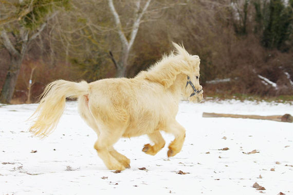 WhatsApp Image 2021-11-10 at 10.57.28.jpeg