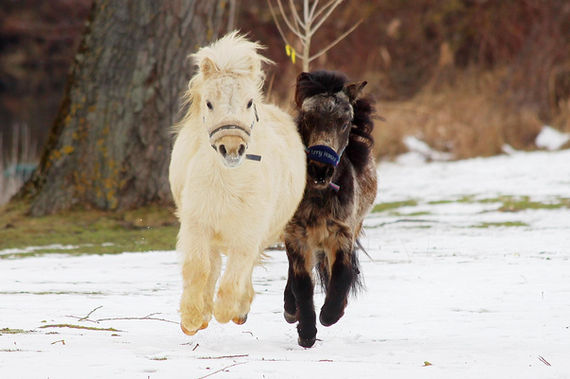 WhatsApp Image 2021-11-10 at 10.57.27.jpeg