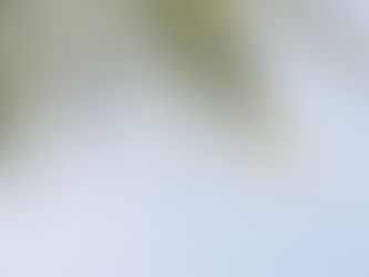 I won't #have the blue. I prefer going with #GREEN. 