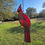 Thumbnail: Red Stainedglass Cardinal