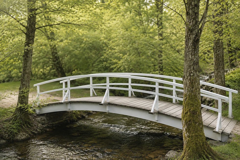 White picket bridge surrounded by greenery