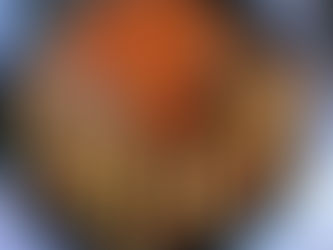 RATATOUILLE SERVED FROM THE CHEF'S GARDEN TO YOUR TABLE BY PRIVATE CHEF IN SONOMA & NAPA VALLEY.