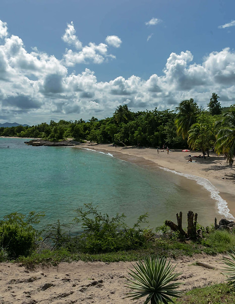 3_Plage-pont-café.jpg
