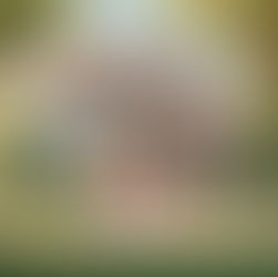 Why Title Insurance is Important?