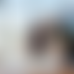 השקעות נדל"ן ביוון 2026: המדריך השלם ליזמות והשקעה חכמה