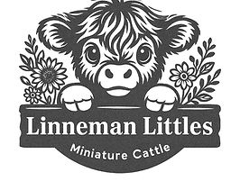 LOGO.jpg