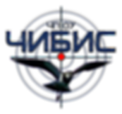 Logo (2).png