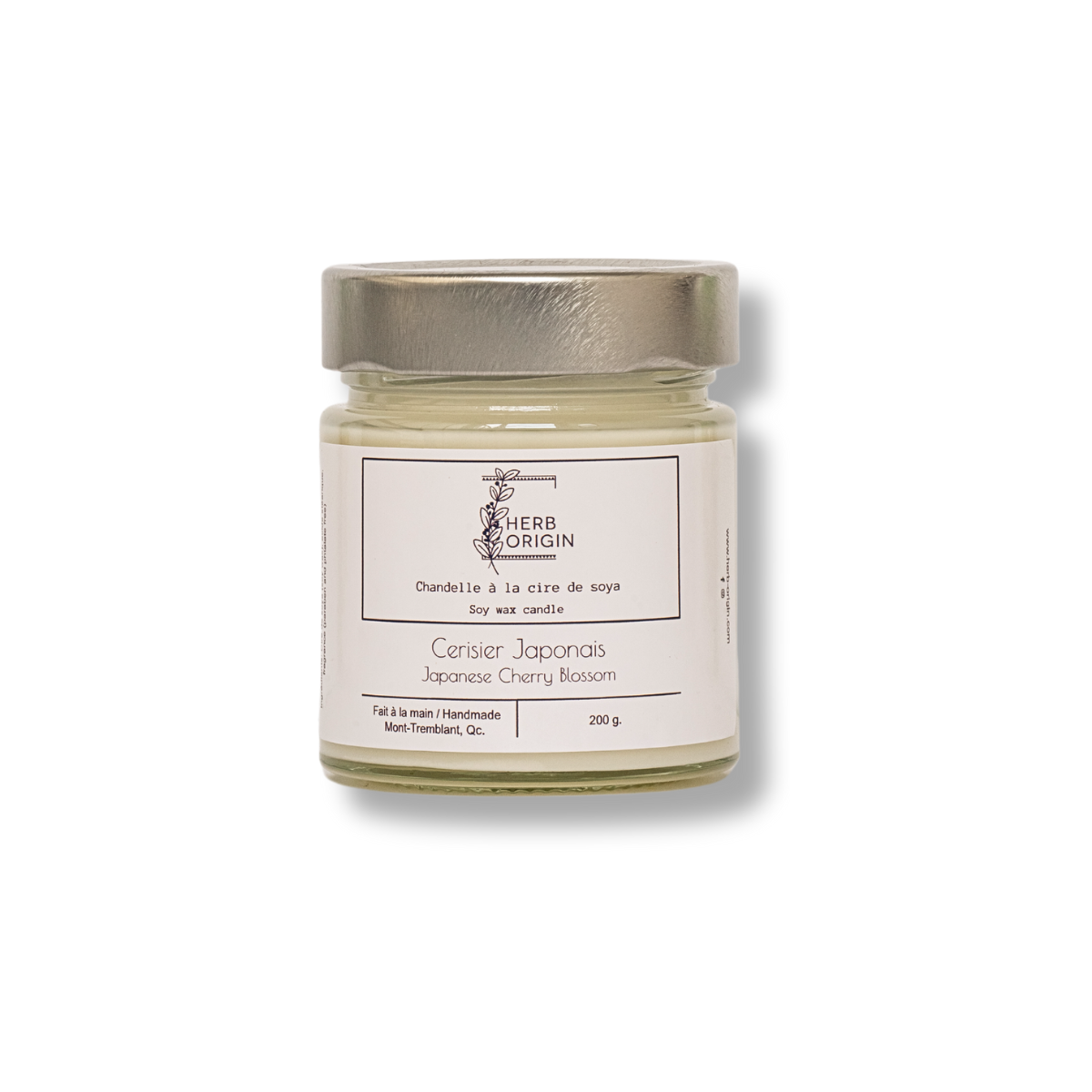 Cerisier Japonais | Japanese Cherry Blossom