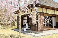 LINE_ALBUM_松井様4.13_240415_98.jpg