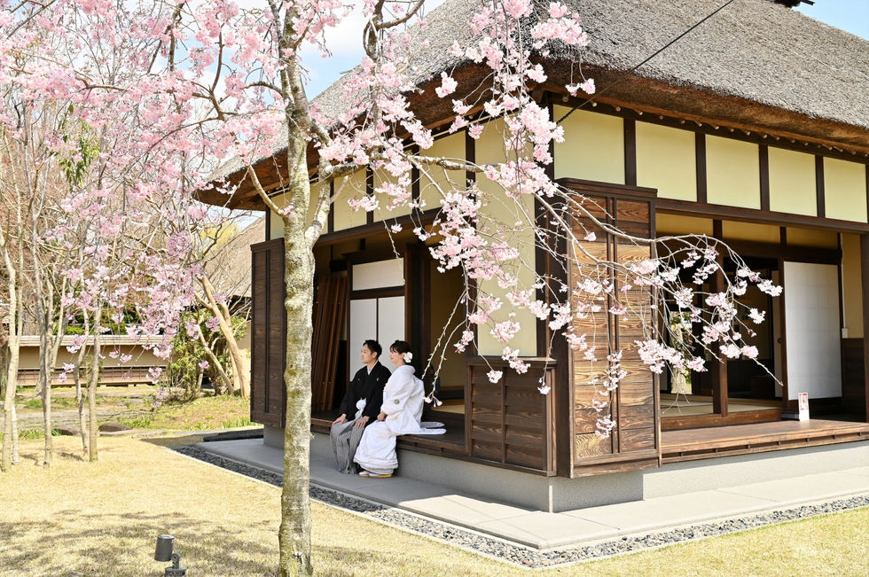 LINE_ALBUM_松井様4.13_240415_98