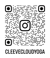 QR CODE PETE