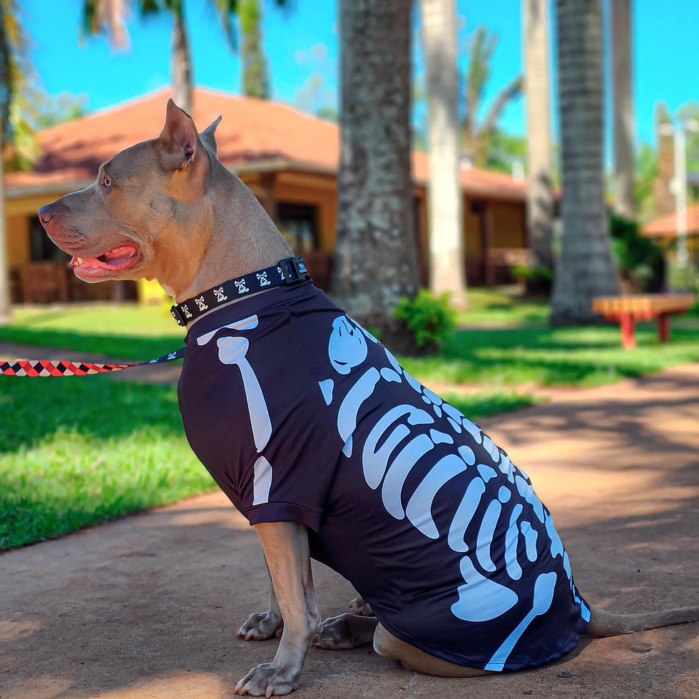 Miniatura: Camiseta para Cães modelo Esqueleto proteção UV50+ tam. N01 - Dog Nerd
