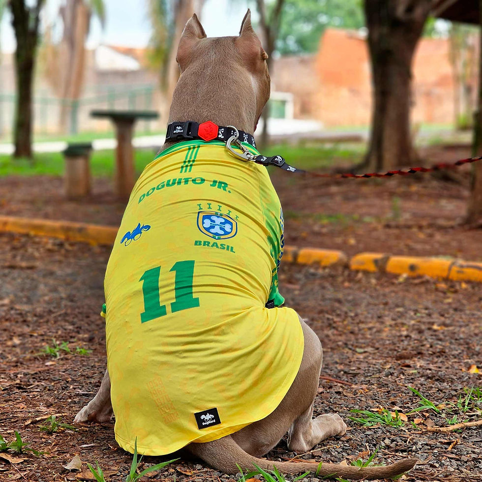 Camiseta Cães modelo Brasil Amarela com proteção UV50+ tam. N07 - Dog Nerd