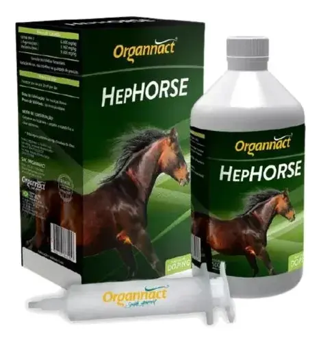 Suplemento Vitamínico Equinos HepHorse 500ml - Organnact