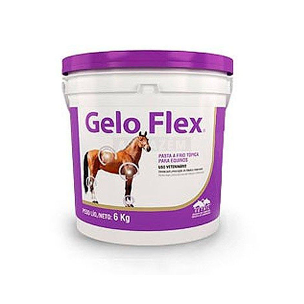 Pasta para Massagens em Equinos Gelo Flex 6kg - Vetnil