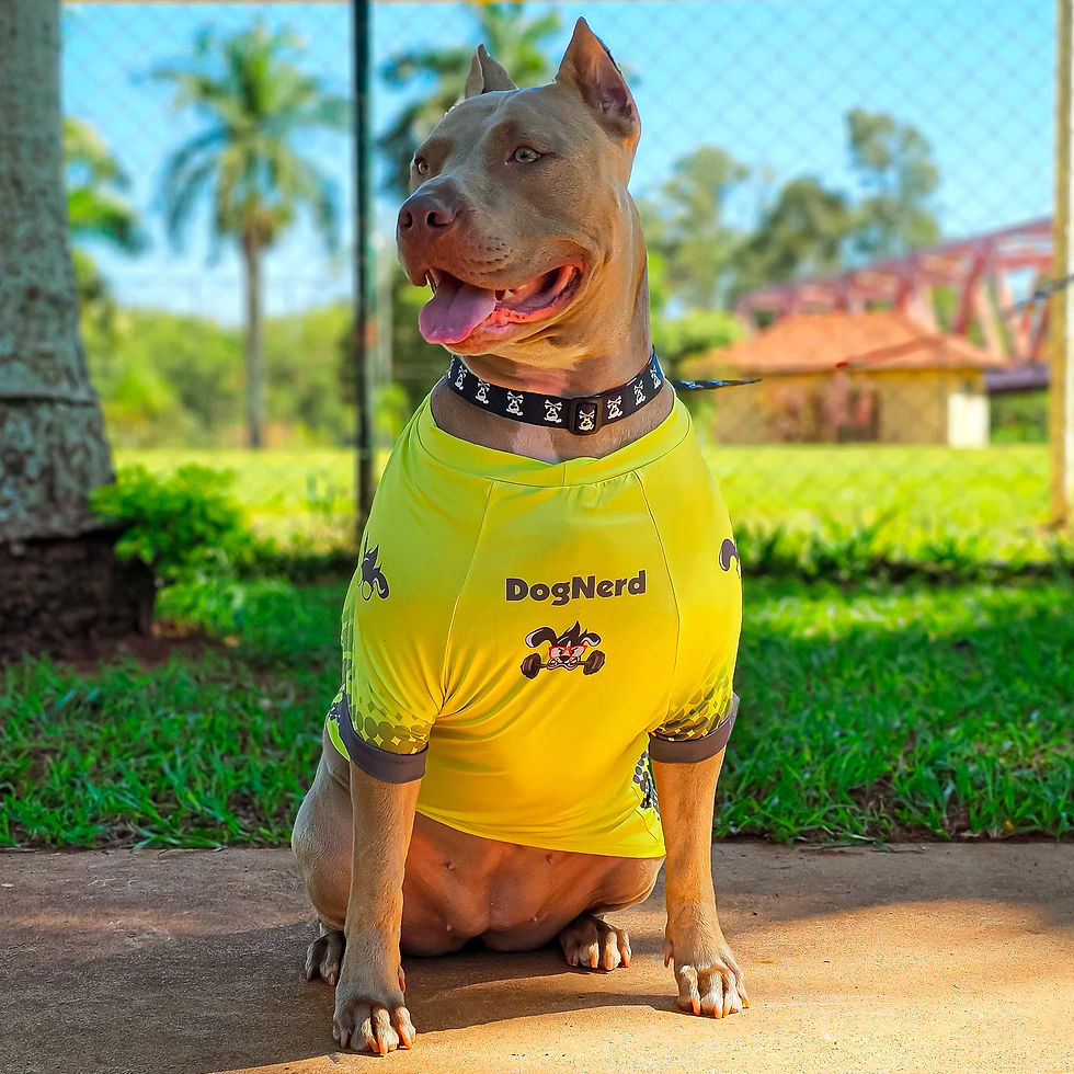 Miniatura: Camiseta para Cães modelo Snack Lovers proteção UV50+ tam. N05 - Dog Nerd