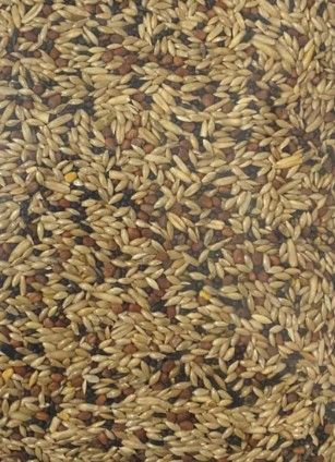 Mistura de sementes para Pássaros Canários 10kg - Joli