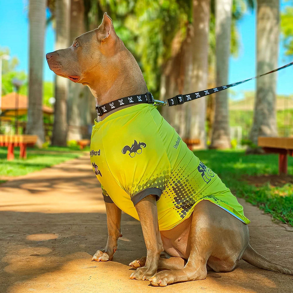 Camiseta para Cães modelo Snack Lovers proteção UV50+ tam. N02 - Dog Nerd