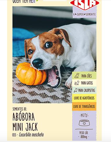 Semente Abóbora Mini Jack Plantio Jardim Linha Multi para Pet 800mg - Isla