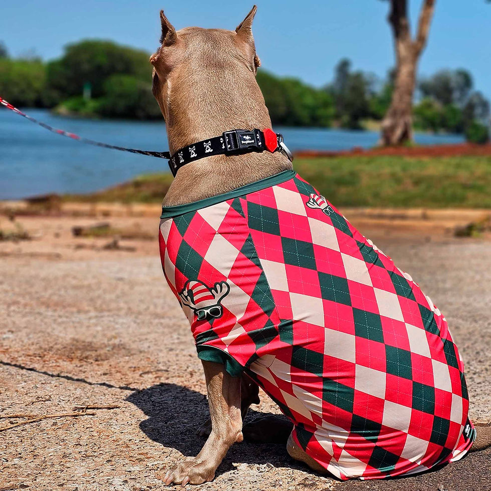 Camiseta Cães modelo Natal Xadrez com proteção UV50+ tam. N04 - Dog Nerd