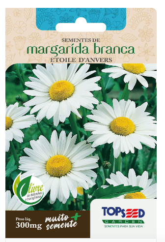 Semente Margarida Branca Plantio Jardim Linha Tradicional 300mg - TopSeed