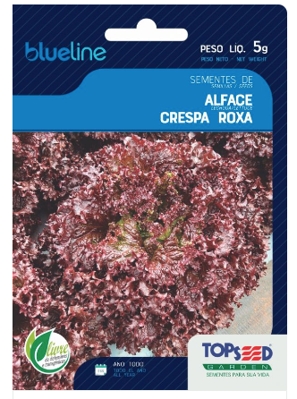 Semente Alface Crespa Roxa para Plantio Jardim BlueLine 5gr - TopSeed
