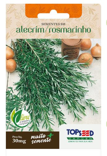 Semente de Alecrim Plantio Jardim Linha Tradicional Ervas 30mg - TopSeed