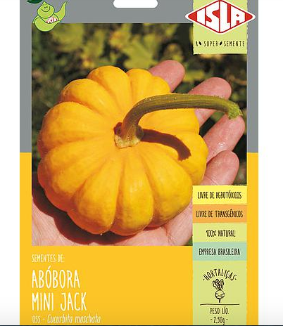 Semente Abóbora Mini Jack Plantio Jardim Linha Super 2,5g - Isla