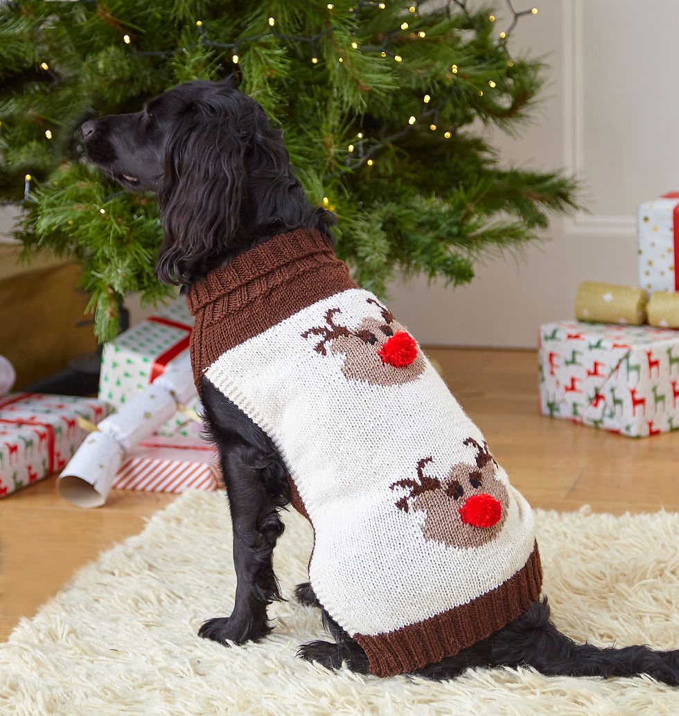 Thumbnail: Family Christmas Knits Book 1