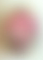 古巴阿里阿猜-必打佛