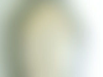 龍波衝-坤平將軍