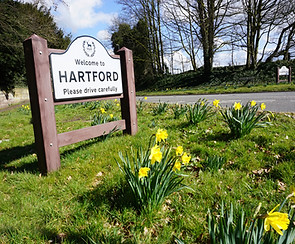 Projects (19)_edited.jpg