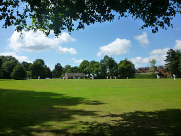 A picture of Grange Park on Bradburns Lane which is often used for village events and is the location of Hartford's cricket pitch. The image shows a large, neatly cut green  space. Trees in the foreground are casting shadows on the grass. Cricketers dressed in white and single storey pavilion can be seen in the background.