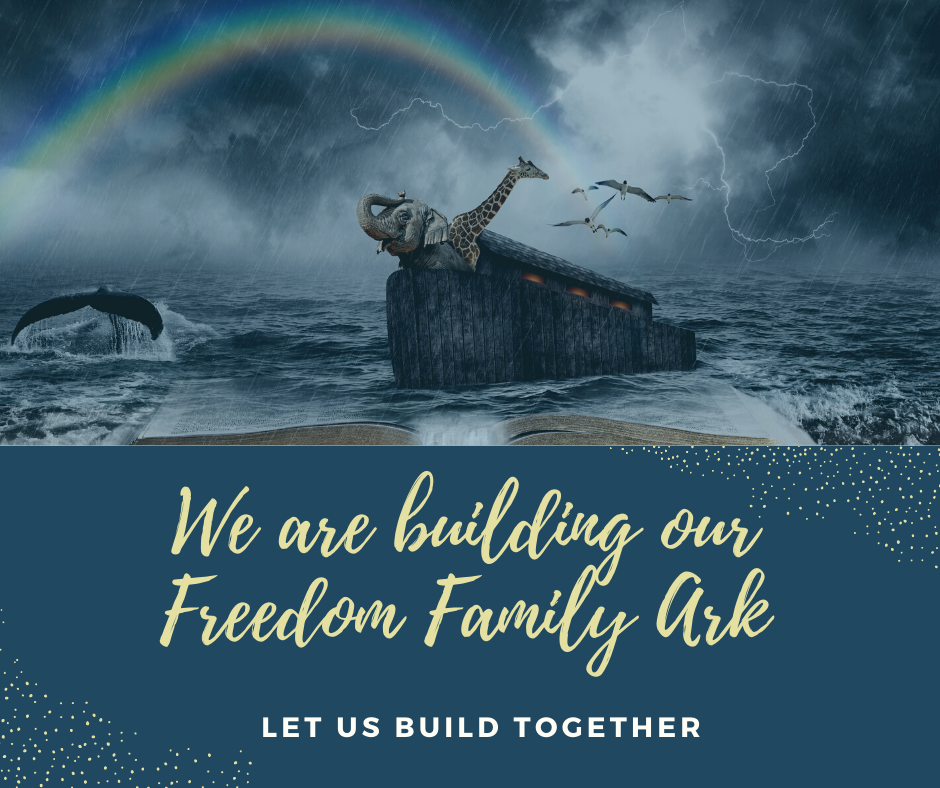 Building The Ark: Freedom Solutions content media
