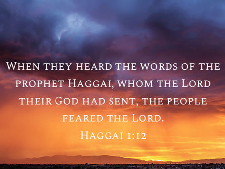 A Walk with Haggai | Day 3 | Haggai 1:12-15