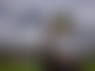 Club statement: Trophy Presentation