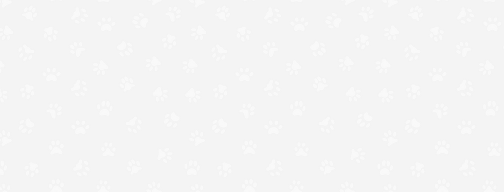FONDO-KIMBO.png