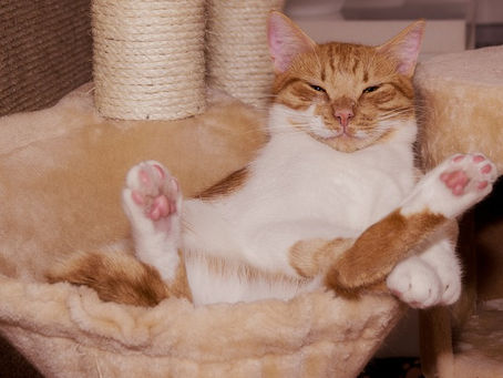 O delicioso ato de procrastinar