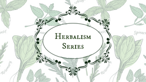 Herbalism Series begins now!