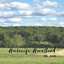 Writer: Housewife Homestead
