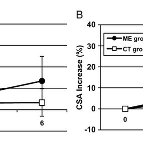 Efeitos Clínicos e Fisiopatológicos dos Esteroides Anabolizantes Androgênicos, com Foco na Metenolona (Primobolan)