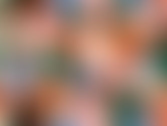 Forming a Gender Equity Practice