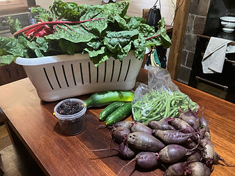 garden to table